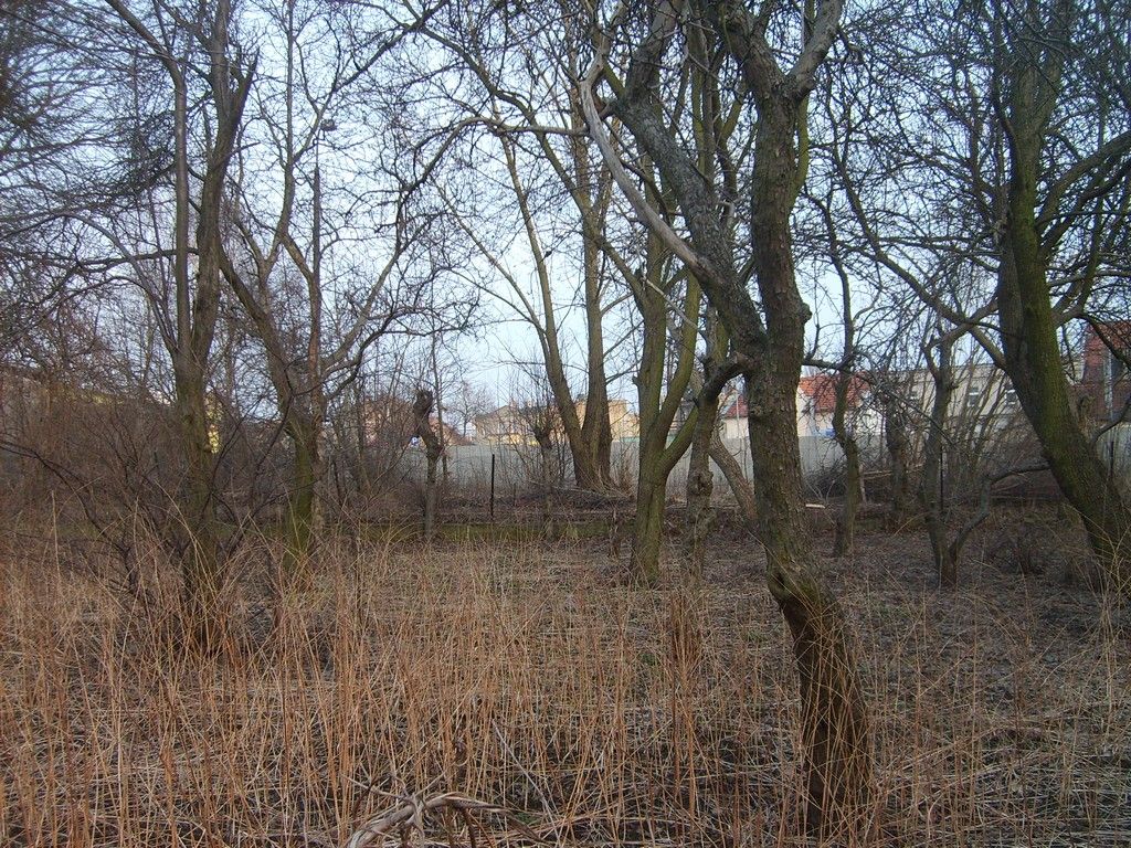 Łyżki
