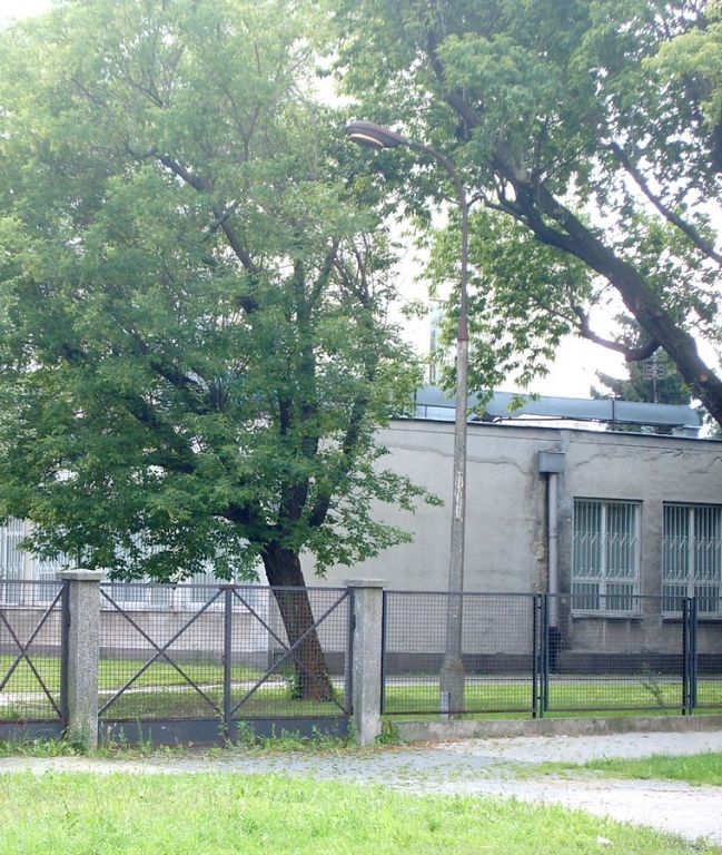 Łyżki