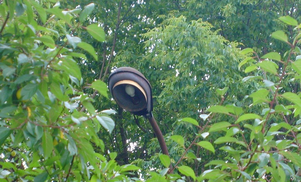 Łyżki