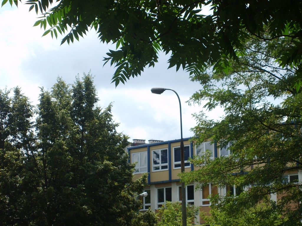 Łyżki