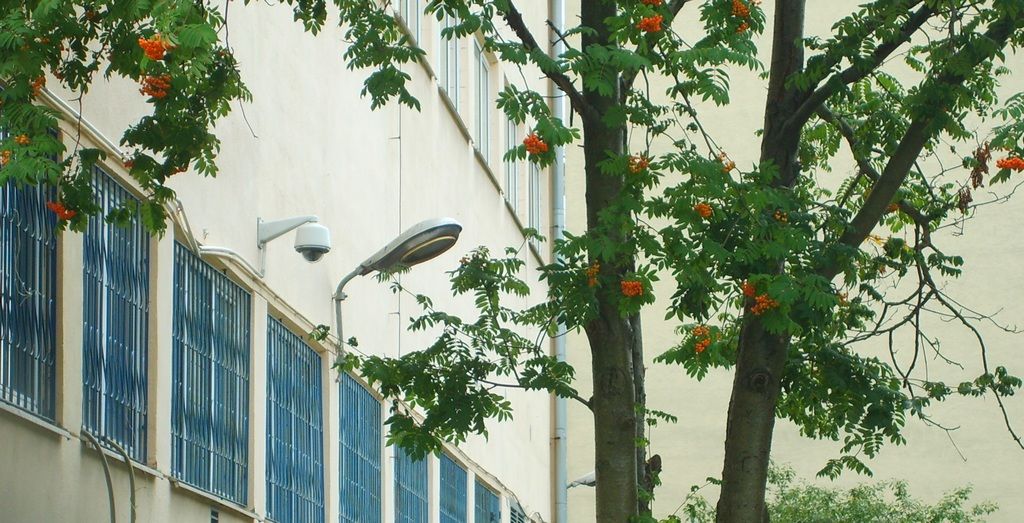 Łyżki