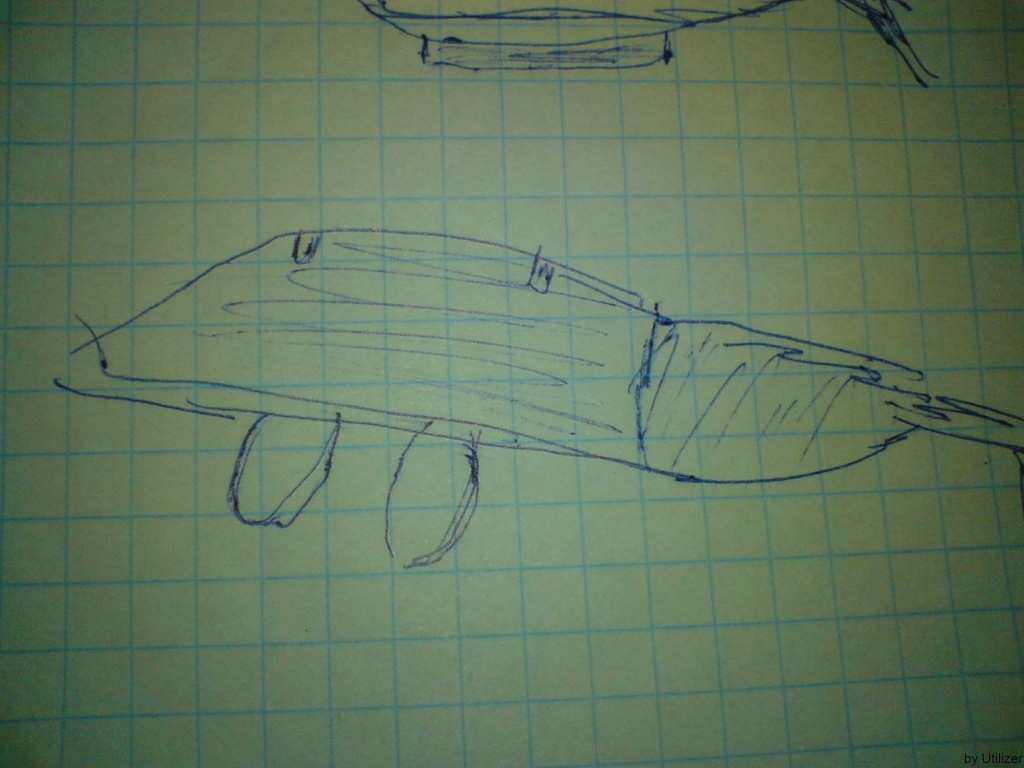 szkic