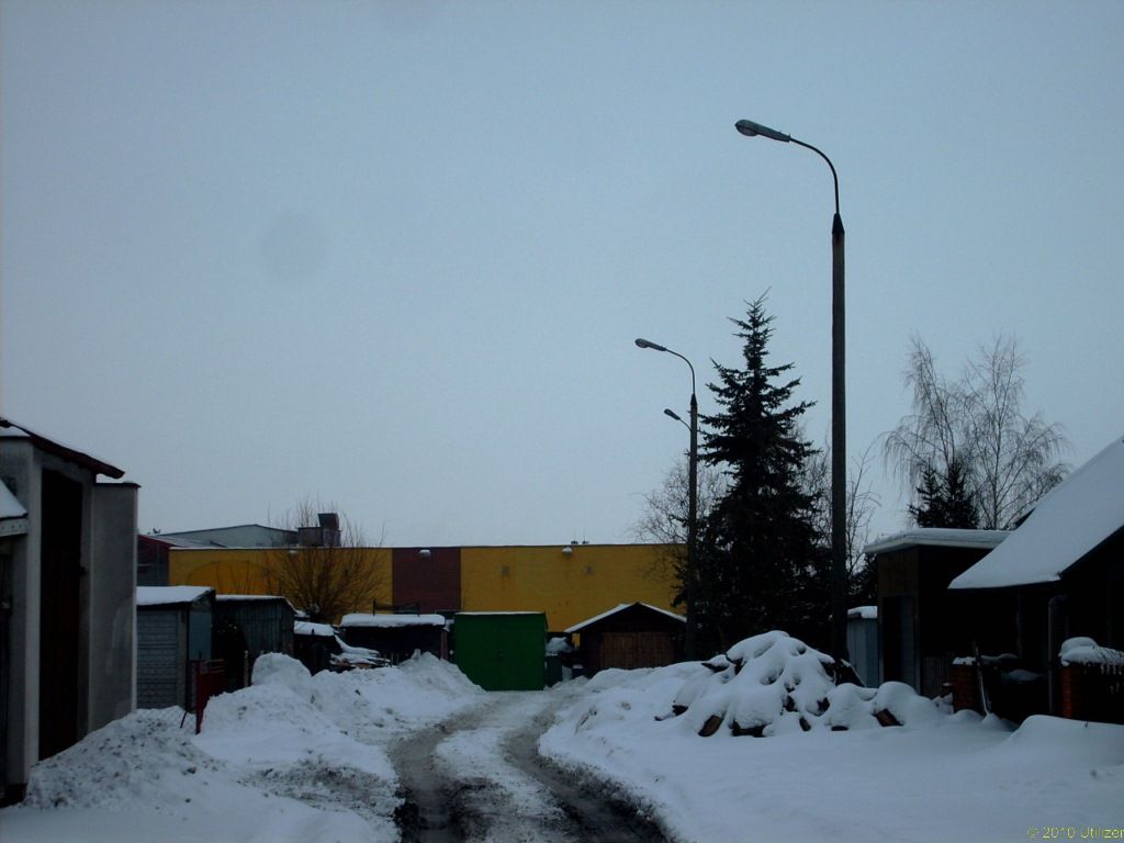 Zdjęcia zimowe