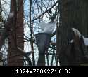 Dewastacje i zaniedbania - marzec