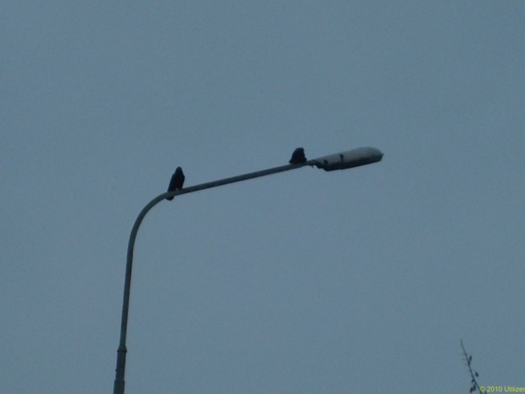 Łyżki marzec