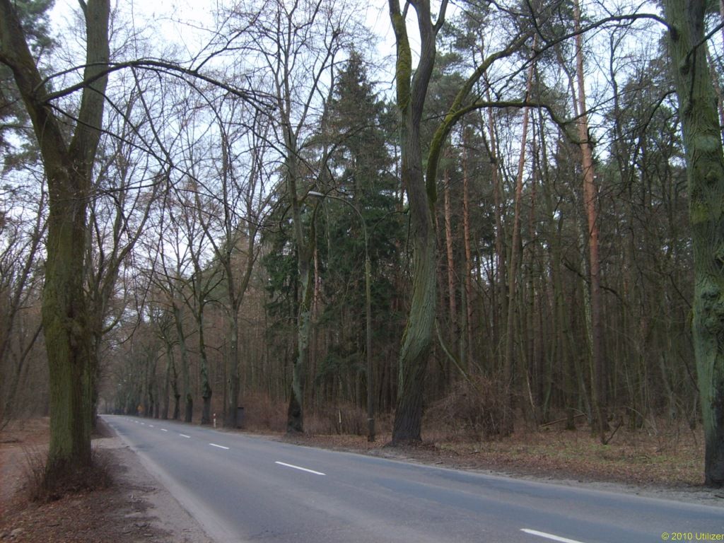 Wągrowiec SGS203
