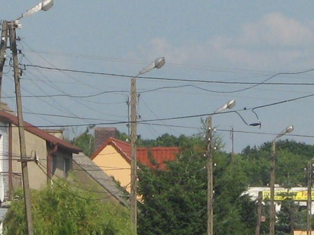 CEGIELNIANA