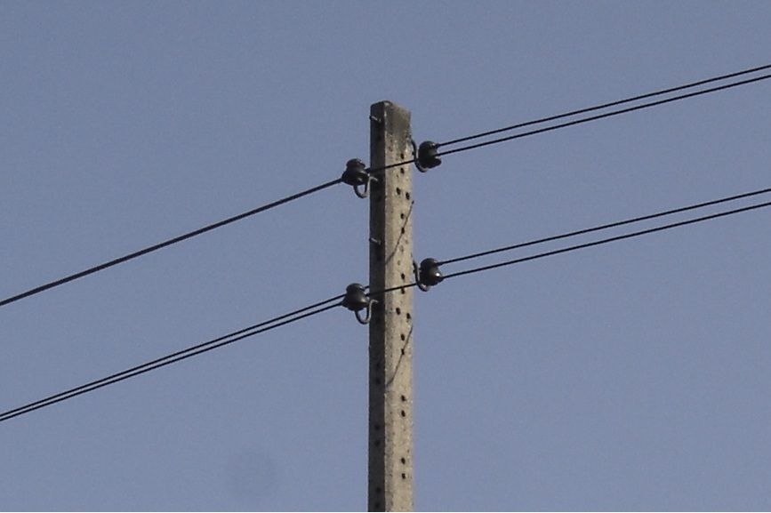 Izolatory na słupach w Pelplinie