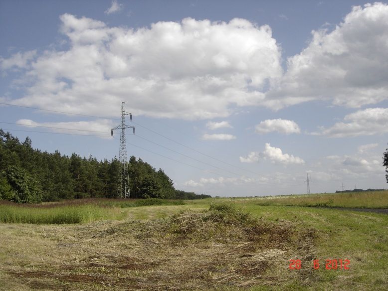 Linia 110kV Wielgłowy i Śliwiny