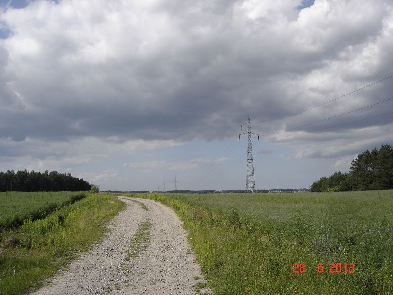 Linia 110kV Wielgłowy i Śliwiny