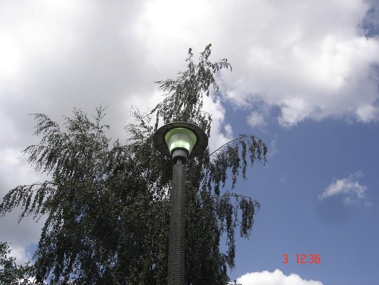 OZPR świecący w dzień