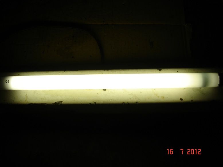 Świetlówka akwariowa 15W