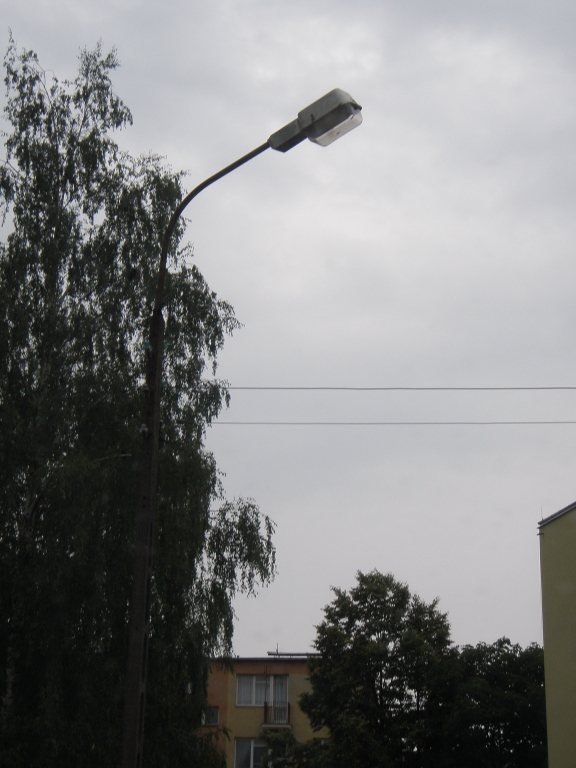 1 klasyk