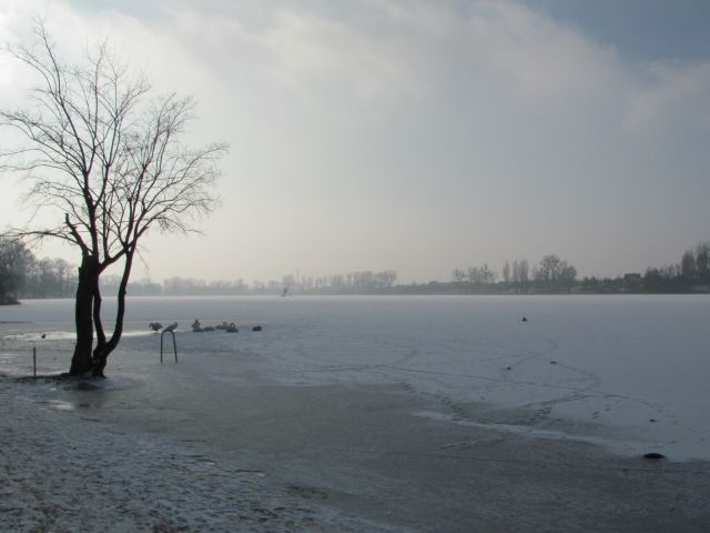 Zamarznięte jezioro