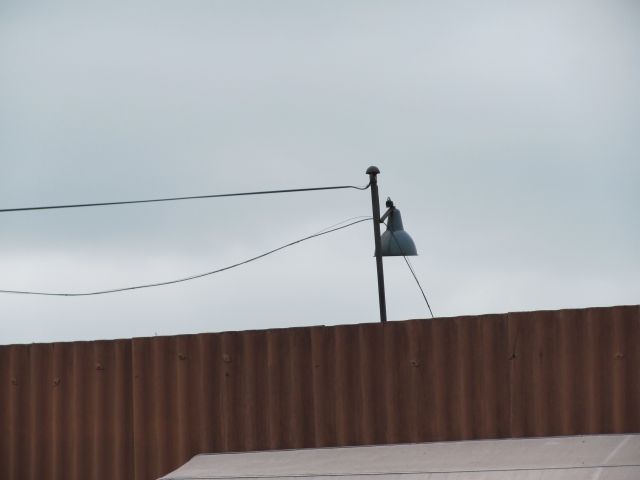 Oprawa OBp (2)