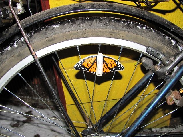 Rowerowy wyświetlacz widmowy