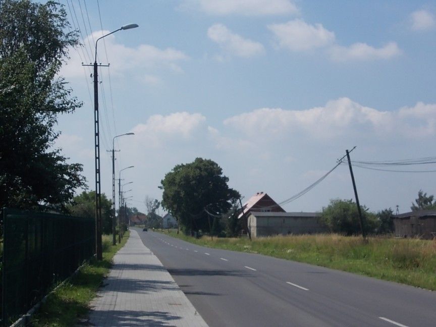 falęcin 052.