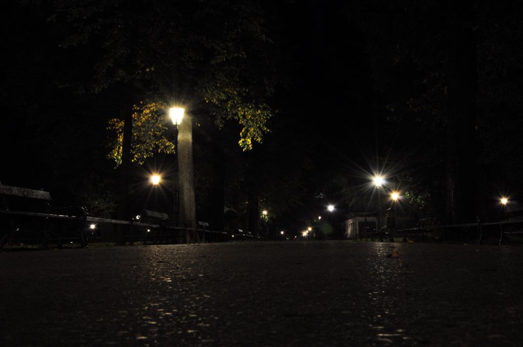 MH 2010 (5)
