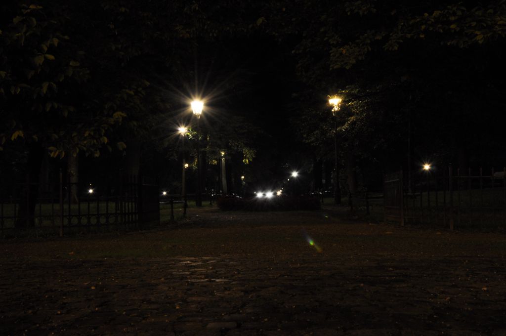 MH 2010 (6)