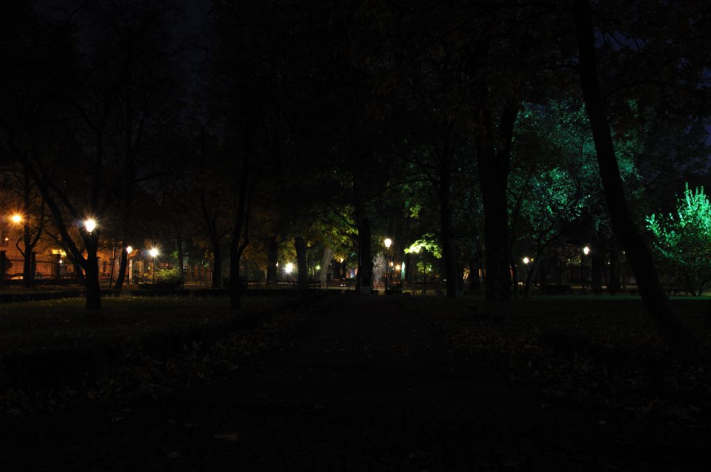 MH Park Strzelecki Październik 2010 (3).