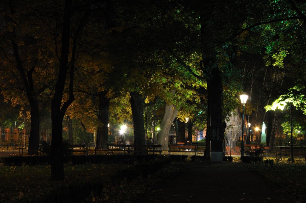 MH Park Strzelecki Październik 2010 (5).