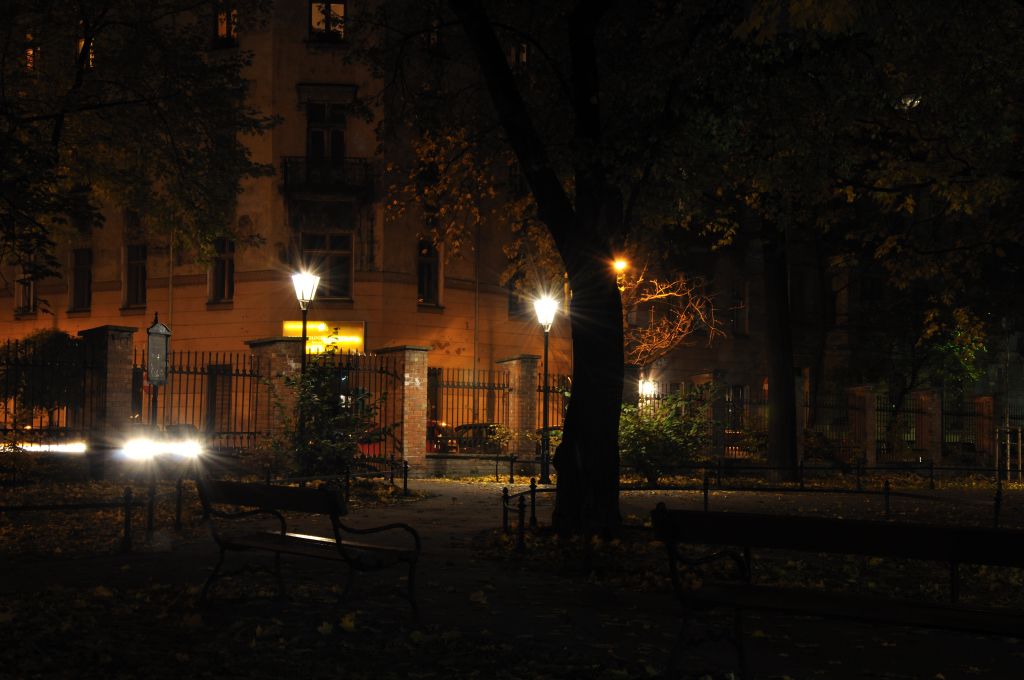 MH Park Strzelecki Październik 2010 (6).