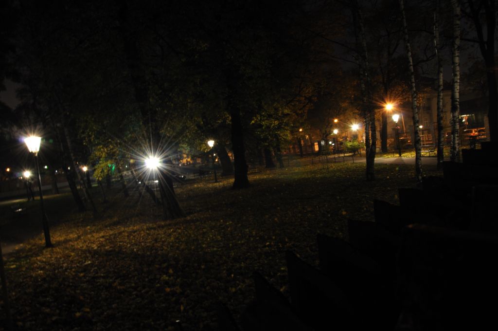 MH Park Strzelecki Październik 2010 (9).