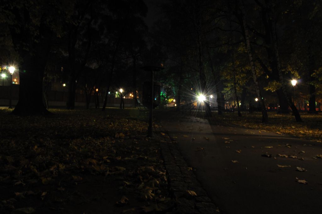 MH Park Strzelecki Październik 2010 (10).