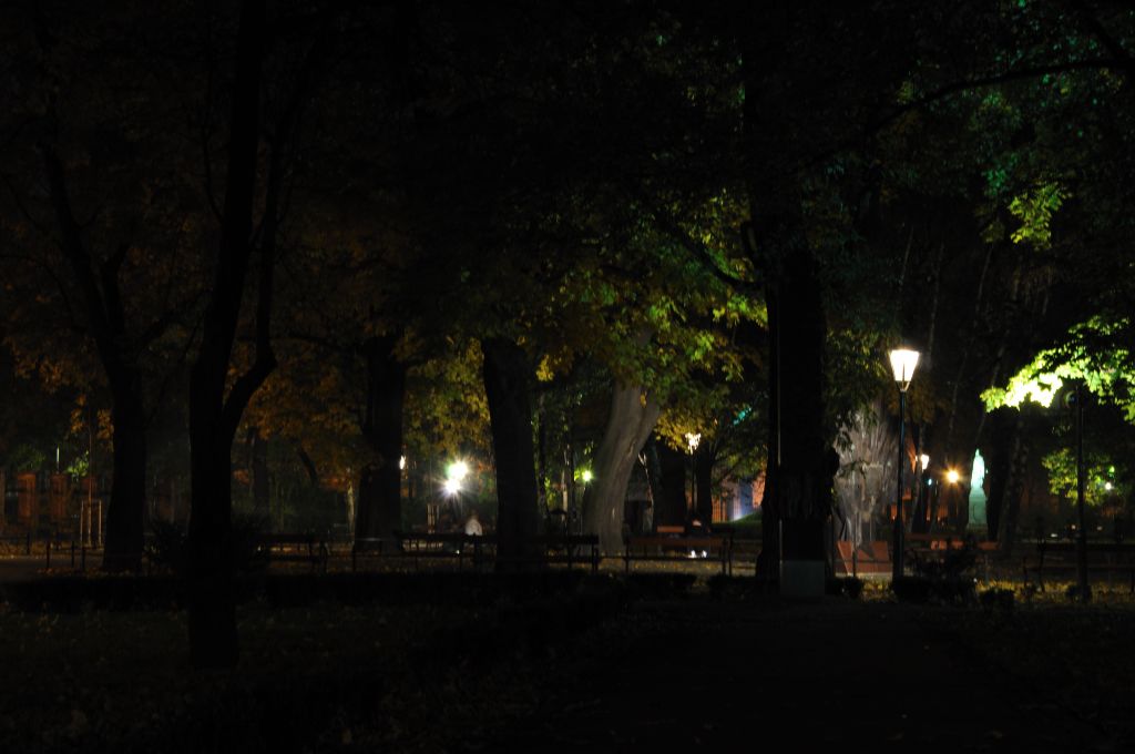 MH Park Strzelecki Październik 2010 (13).