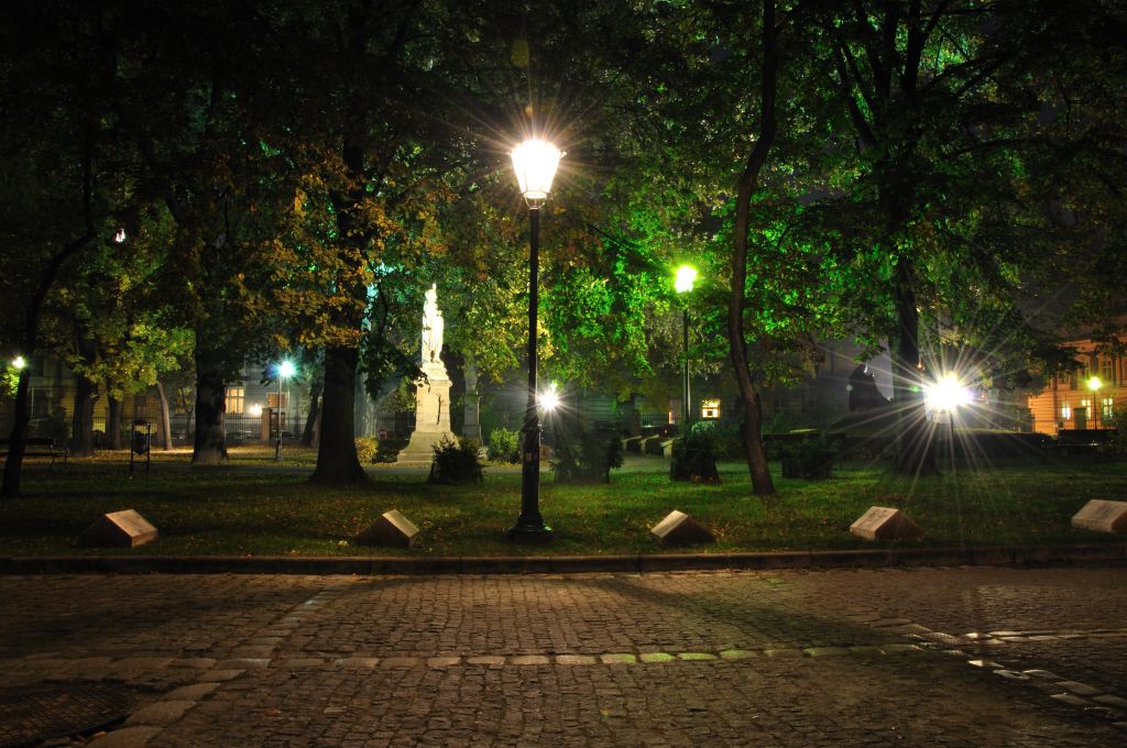 MH Park Strzelecki Październik 2010 (14).