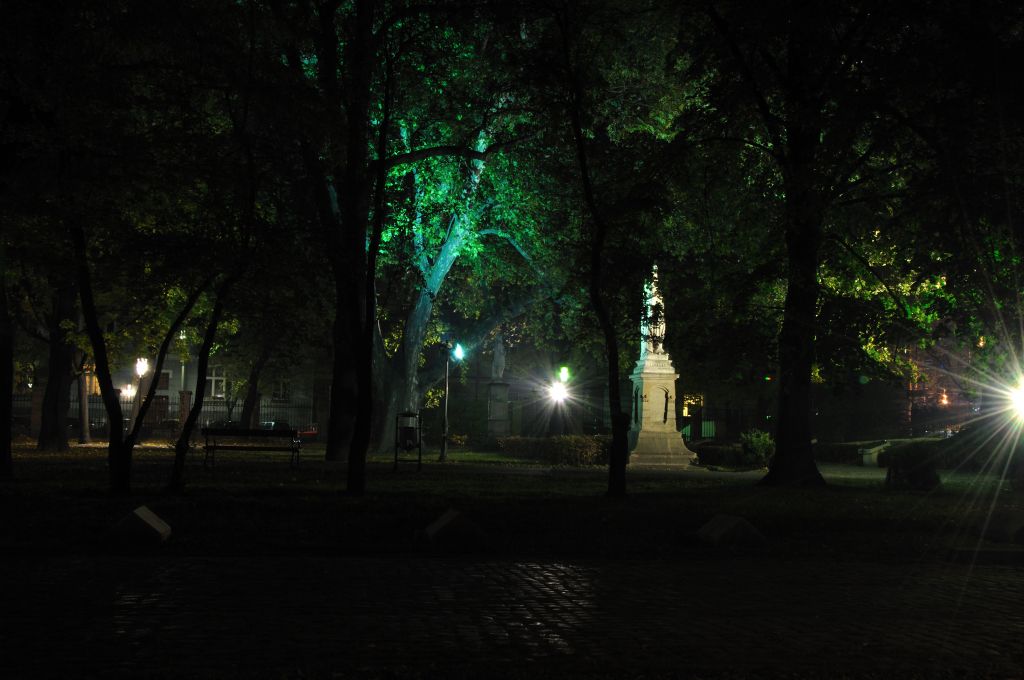 MH Park Strzelecki Październik 2010 (16).