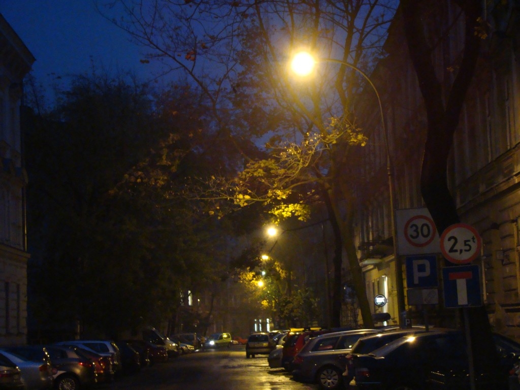 Kraków nocą (11) (1024 x 768).j