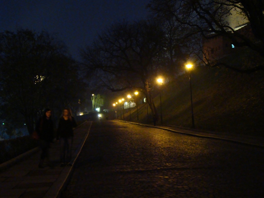 Kraków nocą (15) (1024 x 768).j