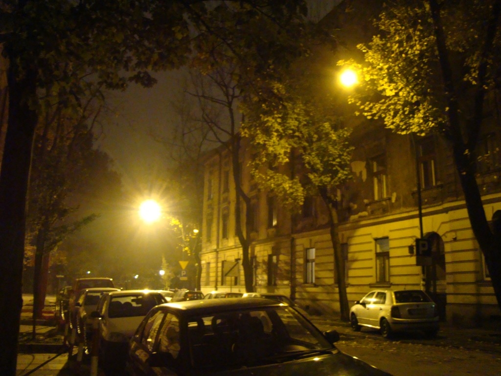 Kraków nocą (30) (1024 x 768).j