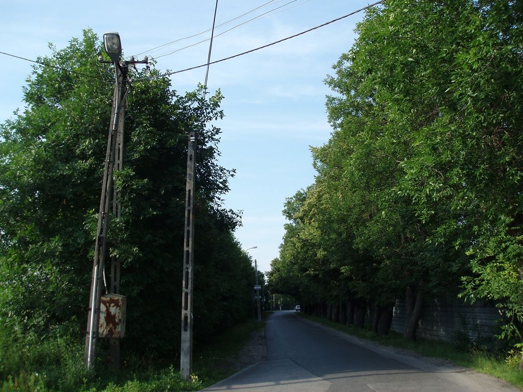 P6242167