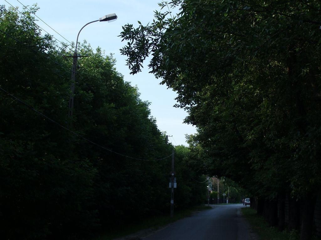 P6242173