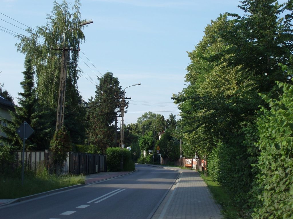 P6242186