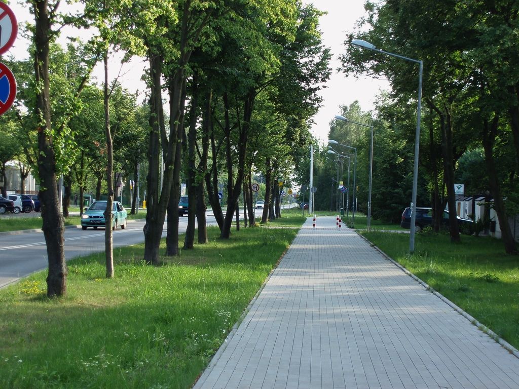 P6242190