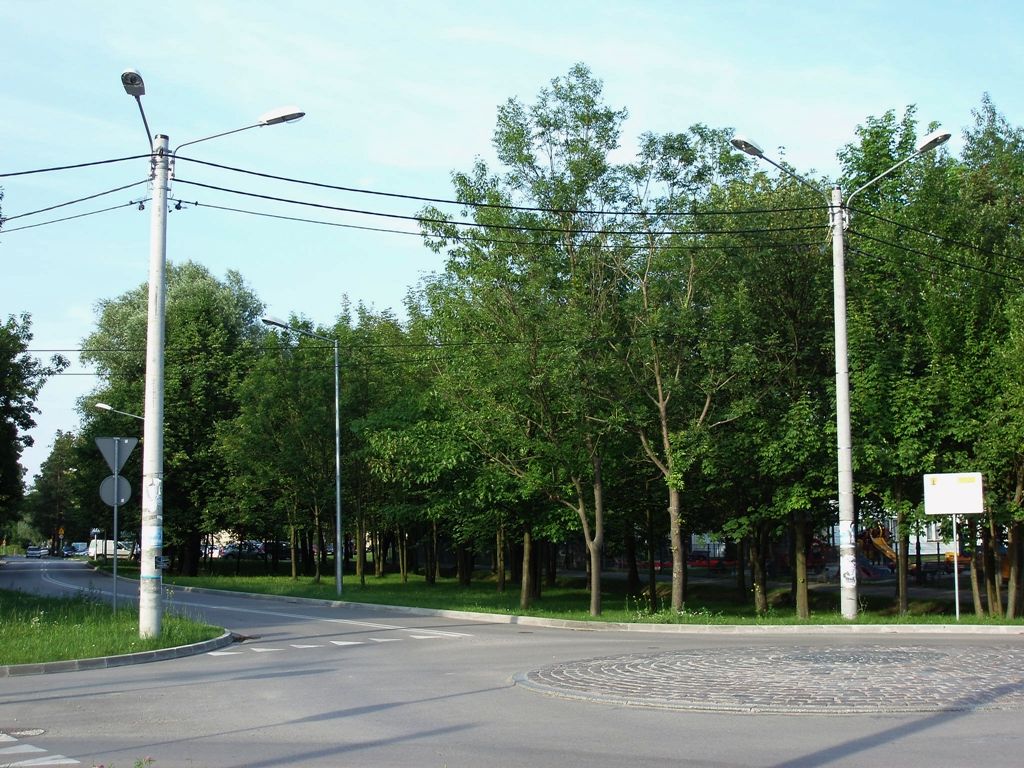 P6242191