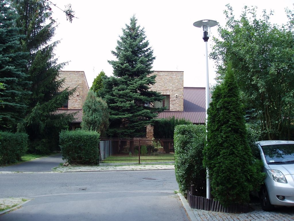 P8052824