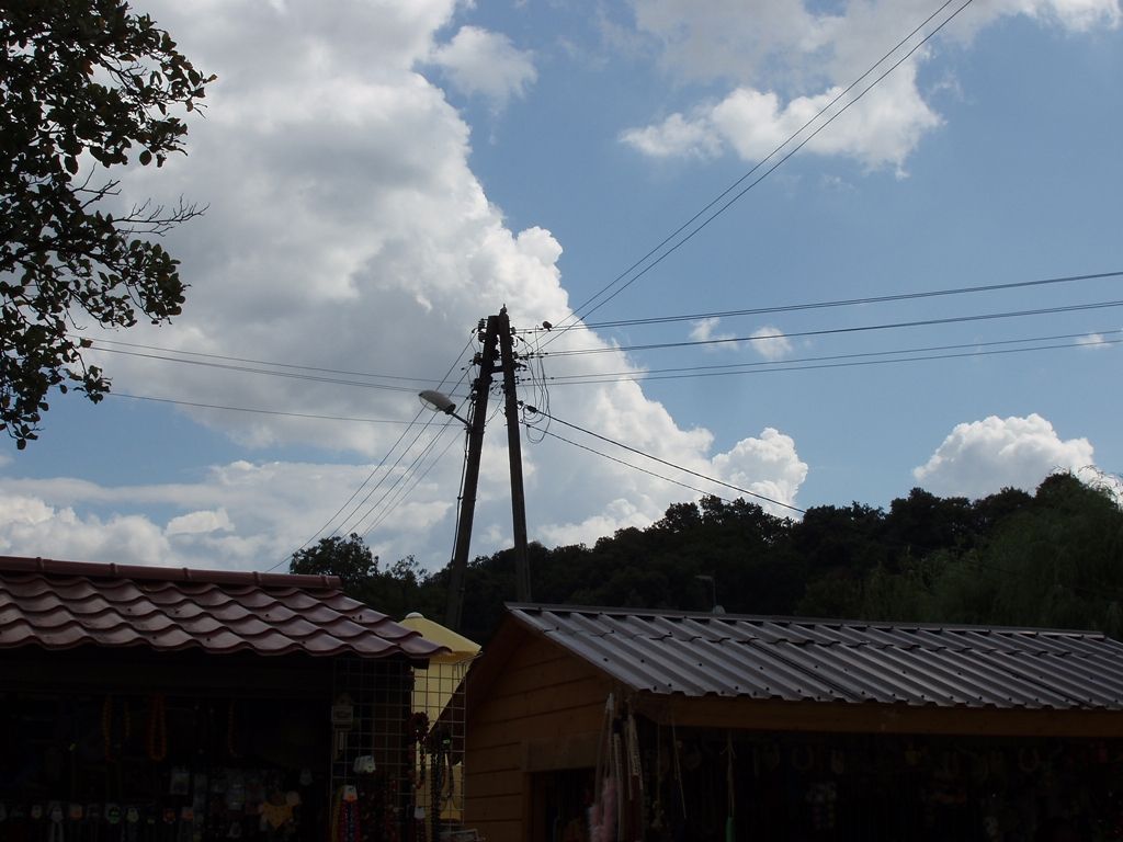 P8093023