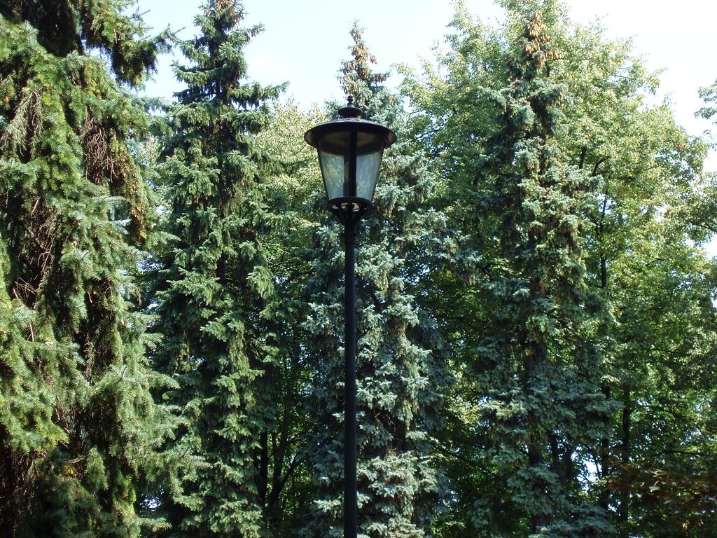 P8052777