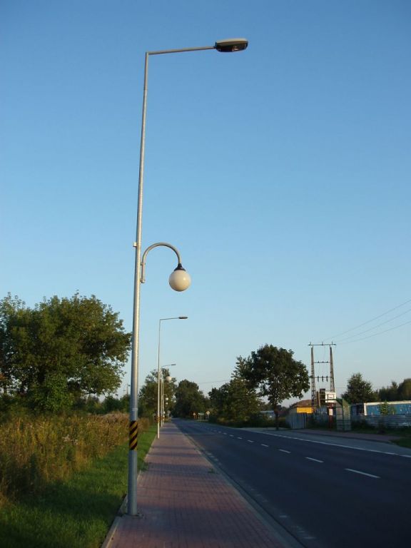 P8193494