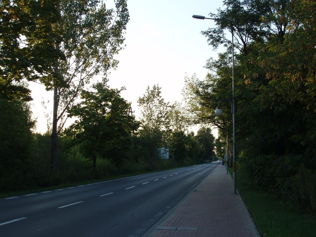 P8193497