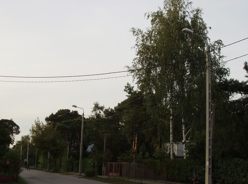 P9093734