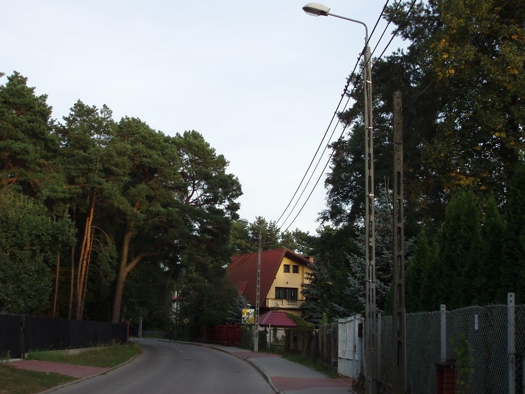 P9093738