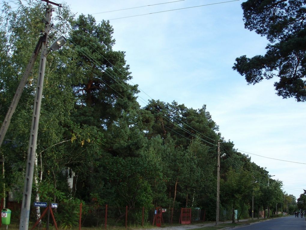 P9093683