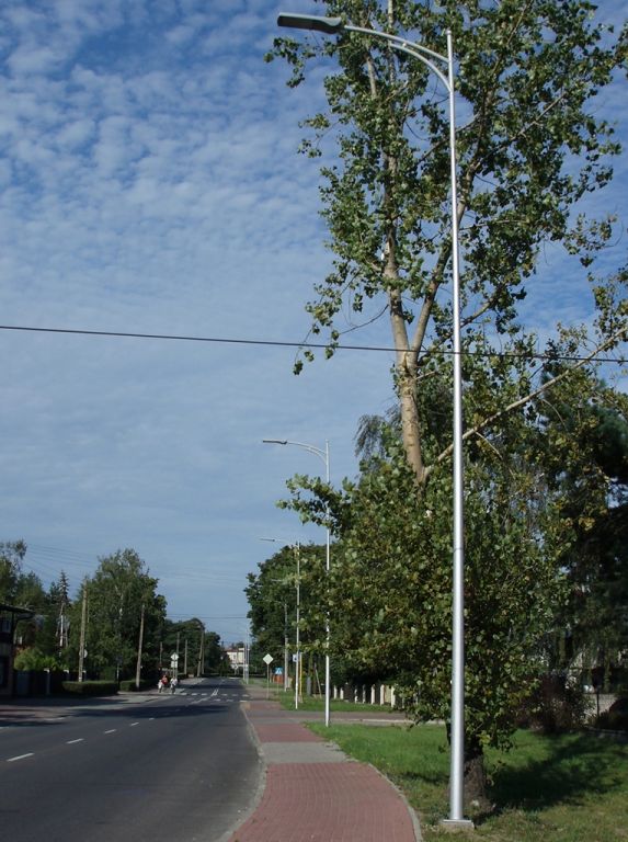 P8193353