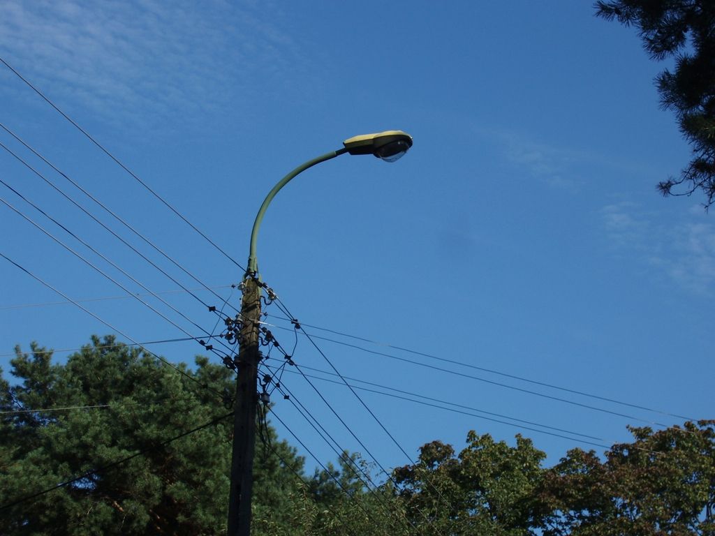 P8193361