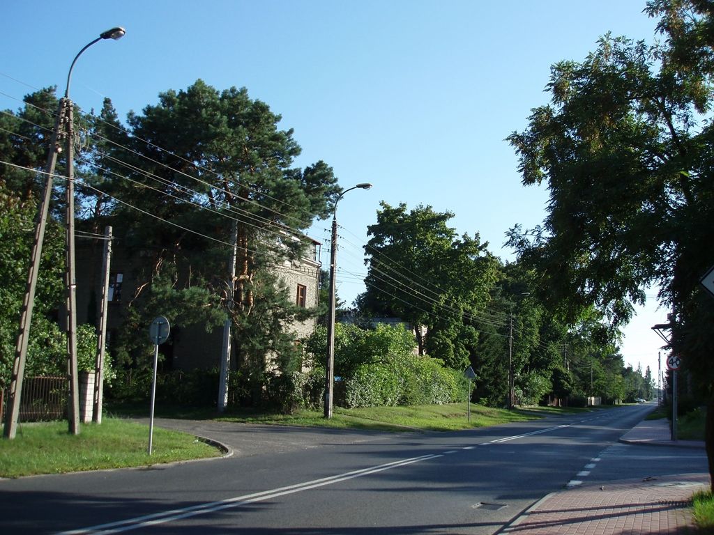 P8193390